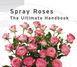 Guidebook for spray roses launches