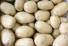 Niedersachsens Kartoffelbauern rechnen mit deutlichen Ertragseinbußen