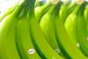 banano verde 1[1]