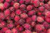 Rambutan