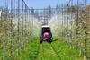 Tractor spraying in Korean apple orchard