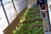 Mexico spearheads new initiatives