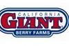 california giant