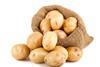 Kartoffeln im Sack und drumherum