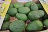 Kenia Avocados - Michael Schotten