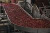 India: new apple packing technology will help the industry
