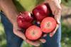 Kissabel® Rouge: Produktion unter guten Vorzeichen