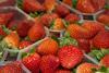 Strawberries from Huelva