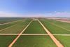 Talia Farms Colliers