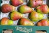 Cape Blush pears Tru-Cape