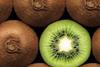 Kiwifruit of Italy