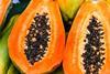 Papaya is proving an unexpected hit