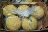 Melons shipped using StePac’s Xtend Bulk packaging liners
