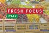 Fresh Focus Italy