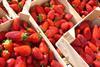 Erdbeeren