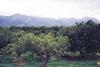 Rains bring Andalusia relief