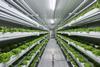 Smart Acres hydroponic farm