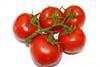Almería: Spanische Tomaten dominieren auf dem deutschen Markt