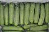 mini-cucumbers-2716567_1920