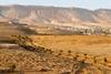 Countryside near Damascus