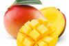mangos_atoss - AdobeStock