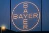 Bayer logo in Leverkusen