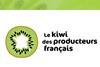 kiwi_frankreich_logo.jpg