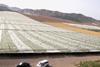 greenhouses