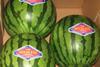 Clink seedless watermelons