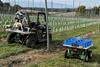 AU Green Atlas Cartographer left Burro autonomous vehicle right PIPS 4 Profit Tingira Orchard Batlow NSW