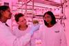 CREDIT REQUIRED Queensland Alliance for Agriculture and Food Innovation TAGS Avocado rootstock L-R Dr Jayeni Hiti Bandaralage, Dr Alice Hayward, Professor Neena Mitter