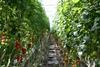 Waste not want not, says ACM