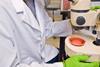 Laboratory testing food safety USDA