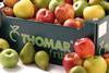 Thomar Staay Frupaks