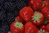 Optimism back as soft-fruit sector plans for year of growth