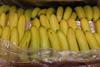Verband Europäischer Bananenerzeuger beunruhigt über Tarifverhandlungen