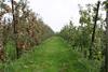 Low Countries, high hopes