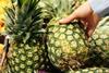 ananas