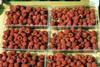 Raspberry offer outstrips demand