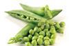 New pea research revealed
