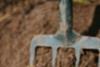 West Midlands gears up for Potato Day