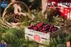 Pick a Picota cherry campaign
