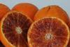 blutorange_sizilien.jpg