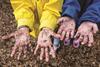 Stephanie Alexander Kitchen Garden Foundation
