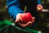 VIP Val Venosta apple grower