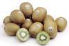 Zespri is pleased with a strong performance in Europe so far this season