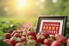 California Berry Cultivars