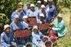South Africa cherry pickers Ceres