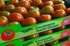 Greenery tomatoes
