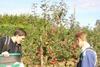 Hadlow College is among those experiencing a surge of popularity